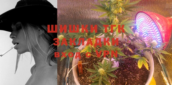 спиды Аркадак