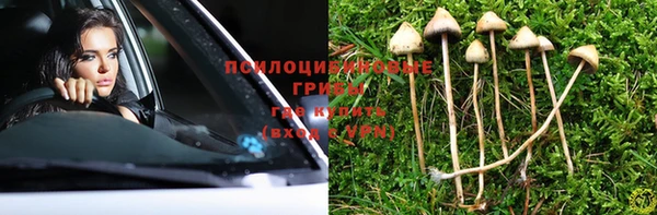 прущая мука Россошь