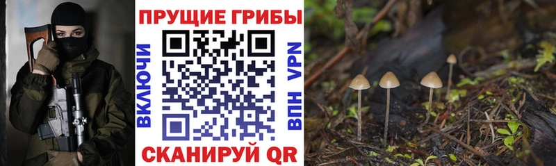 Псилоцибиновые грибы MAGIC MUSHROOMS  Тара 
