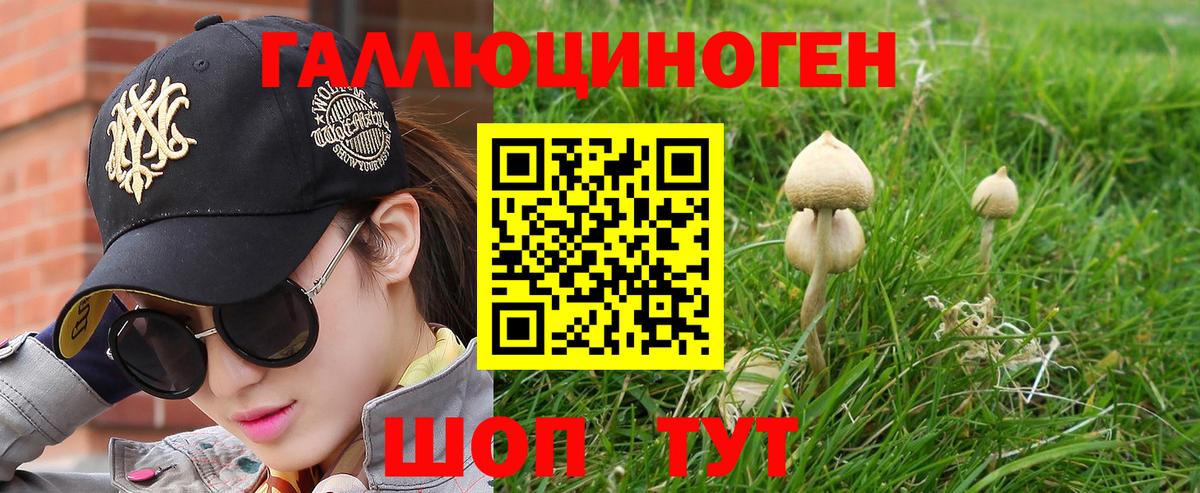 Тара  Галлюциногенные грибы мицелий  Вход с VPN 